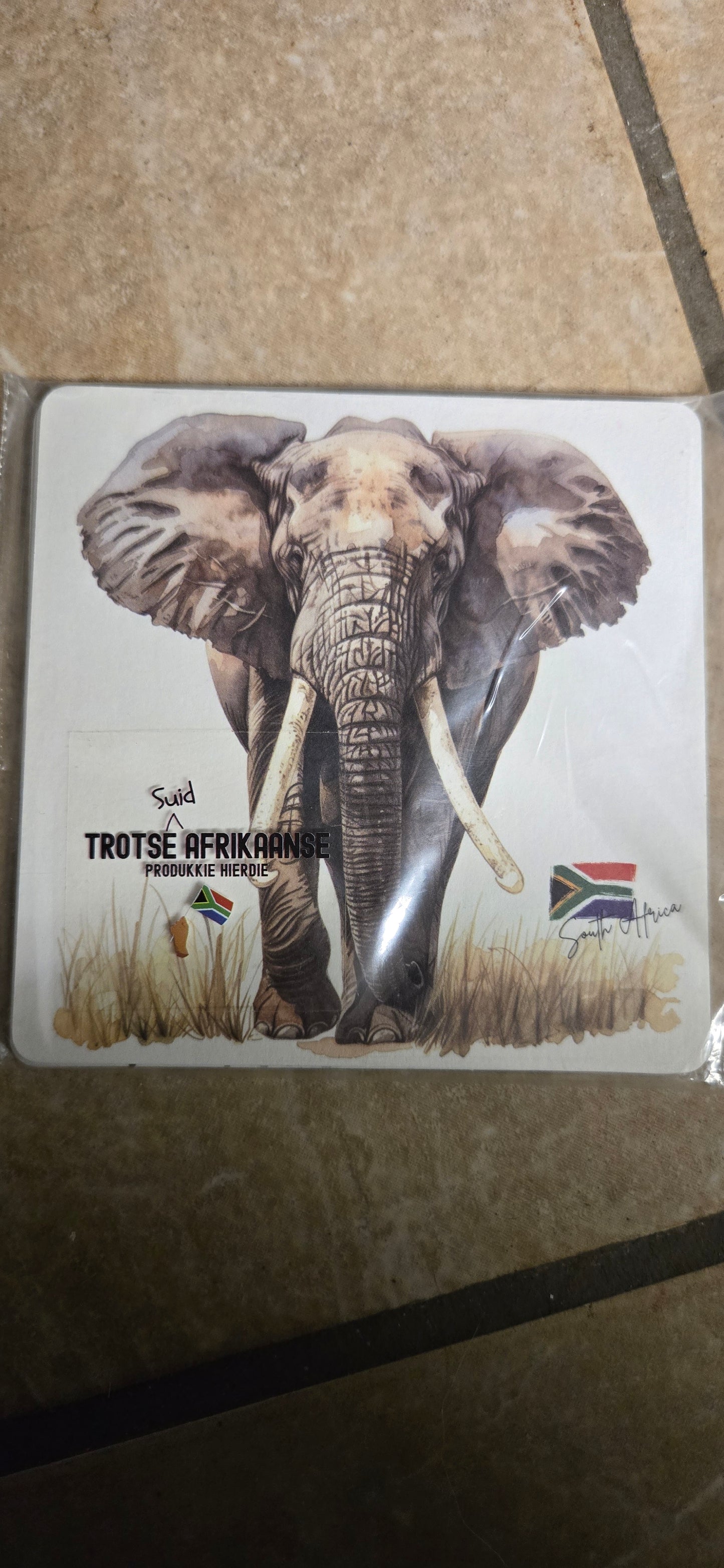 Coasters big 5