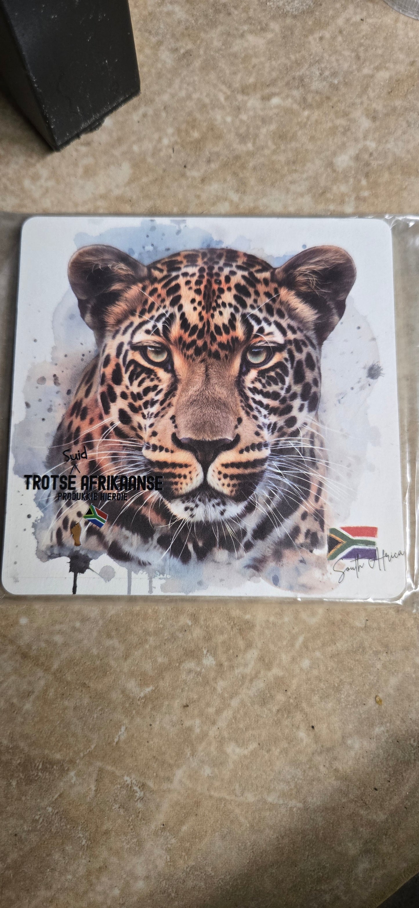 Coasters big 5